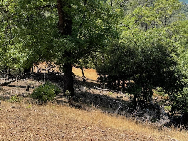 Little Doe Rdg, Lakehead, CA 96051