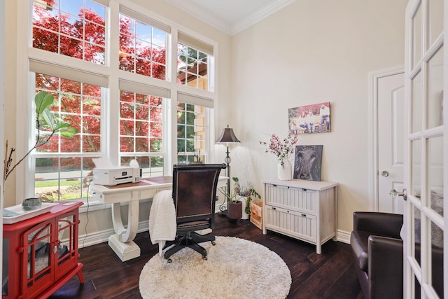 13194 Tierra Heights Rd, Redding, CA 96003 - office space with dark wood-type flooring, baseboards, and ornamental molding