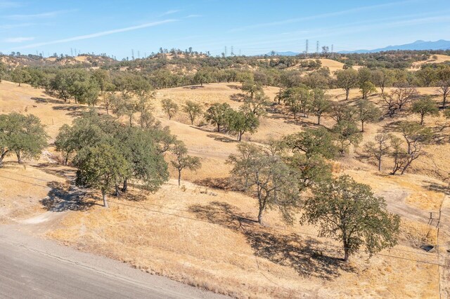 9999 Happy Valley Trl, Cottonwood, CA 96022 - photo 5