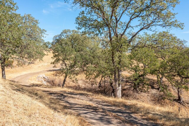 9999 Happy Valley Trl, Cottonwood, CA 96022 - photo 7