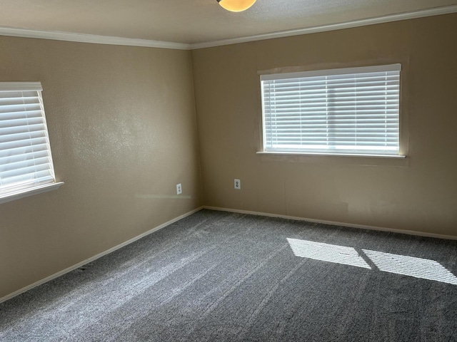 75 Pine Dr, Lookout, CA 56054 - carpeted spare room featuring ornamental molding and baseboards