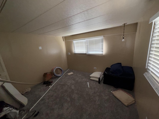 75 Pine Dr, Lookout, CA 56054 - unfurnished bedroom featuring carpet