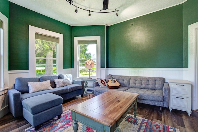 45517 Pittville Rd, Mcarthur, CA 96056 - living room featuring dark wood-style flooring and wainscoting