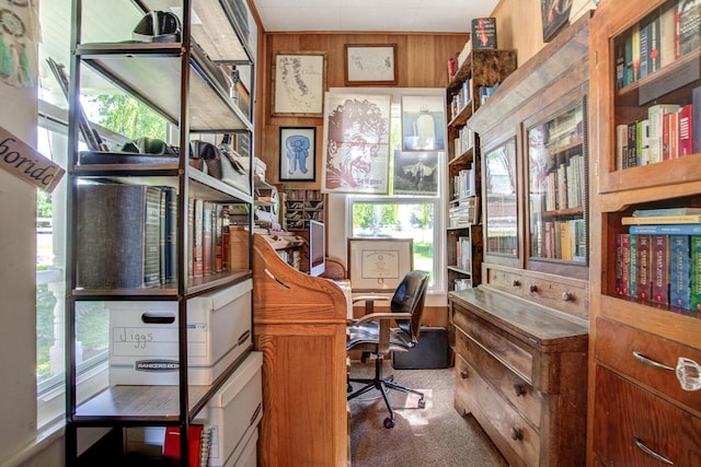 45517 Pittville Rd, Mcarthur, CA 96056 - home office with a healthy amount of sunlight, wooden walls, and carpet floors