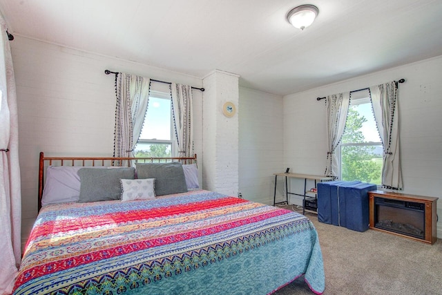 45517 Pittville Rd, Mcarthur, CA 96056 - view of carpeted bedroom