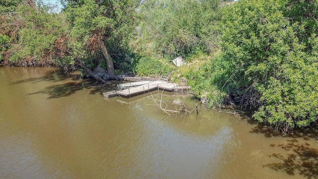 45517 Pittville Rd, Mcarthur, CA 96056 - aerial view with a view of trees and a water view