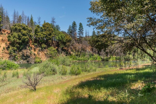200 Dutch Creek Rd, Junction City, CA 96048 - photo 7