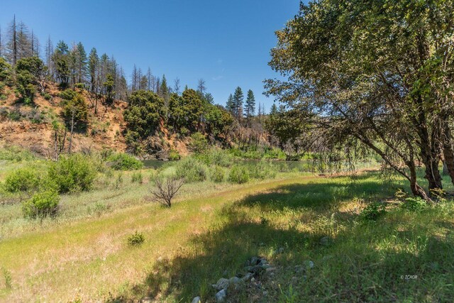 200 Dutch Creek Rd, Junction City, CA 96048 - photo 8