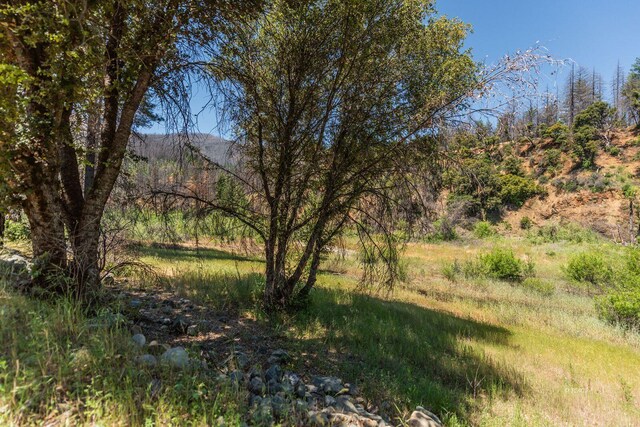 200 Dutch Creek Rd, Junction City, CA 96048 - photo 9