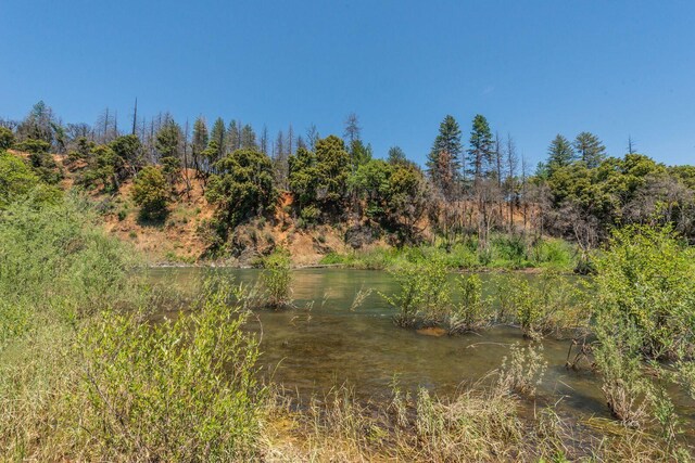 200 Dutch Creek Rd, Junction City, CA 96048 - photo 11