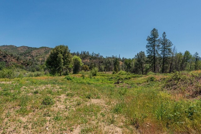 200 Dutch Creek Rd, Junction City, CA 96048 - photo 14
