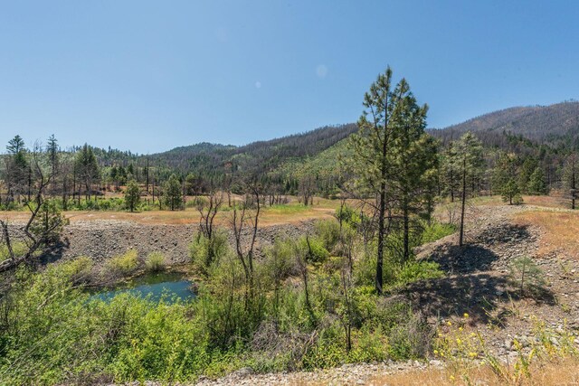 200 Dutch Creek Rd, Junction City, CA 96048 - photo 16