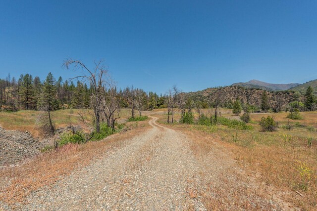 200 Dutch Creek Rd, Junction City, CA 96048 - photo 17