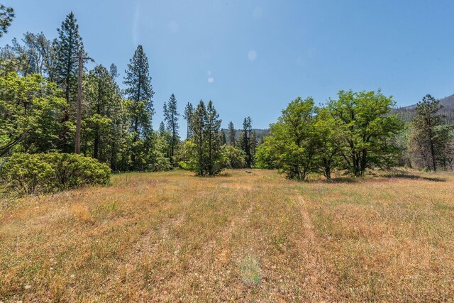 200 Dutch Creek Rd, Junction City, CA 96048 - photo 18