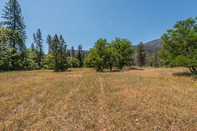 200 Dutch Creek Rd, Junction City, CA 96048 - photo 19