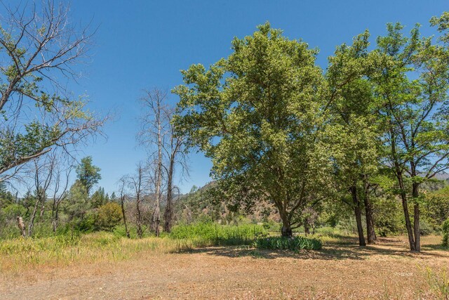 200 Dutch Creek Rd, Junction City, CA 96048 - photo 21