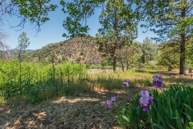 200 Dutch Creek Rd, Junction City, CA 96048 - photo 23