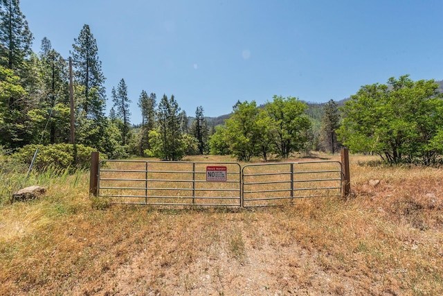 200 Dutch Creek Rd, Junction City, CA 96048 - photo 32