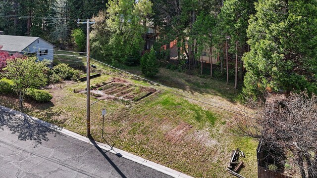 211 Smith St, Mount Shasta, CA 96067 - photo 50