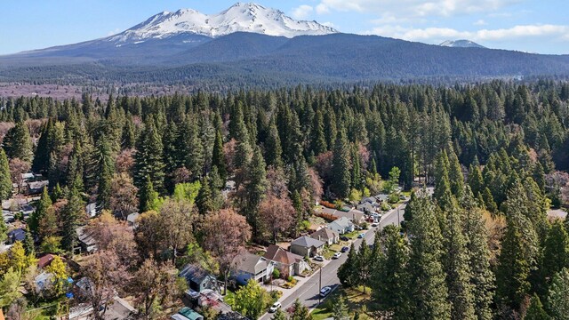 211 Smith St, Mount Shasta, CA 96067 - photo 5
