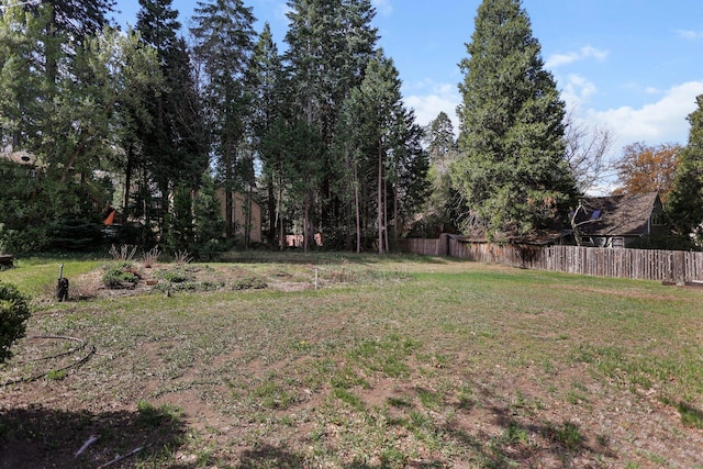 211 Smith St, Mount Shasta, CA 96067 - photo 46