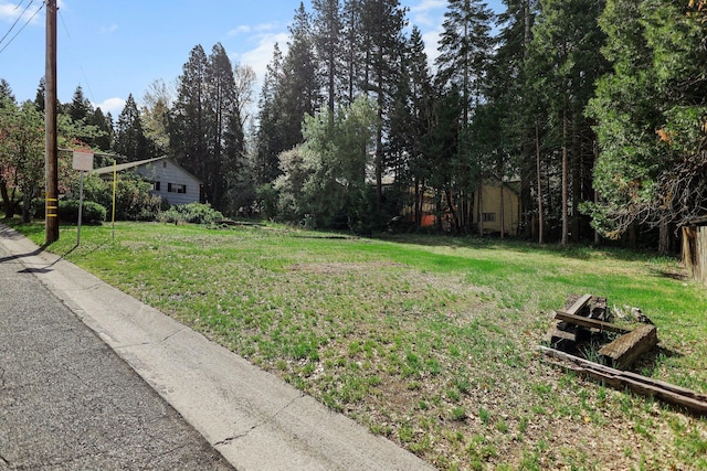 211 Smith St, Mount Shasta, CA 96067 - photo 47