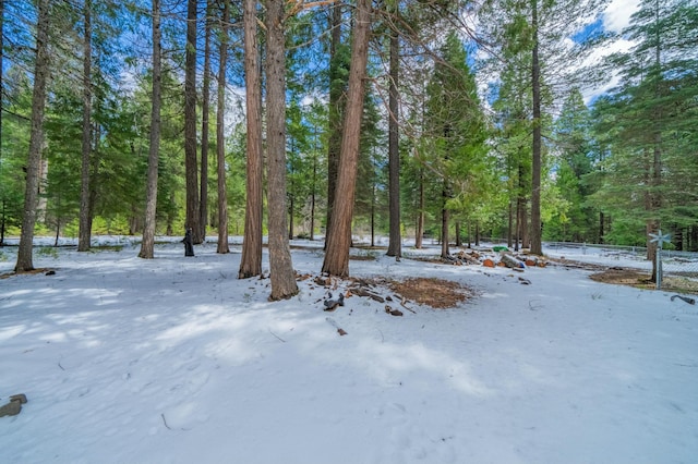 yard layered in snow featuring a view of trees