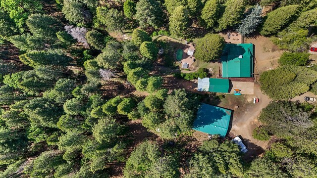 30548 Oak Run To Fern Rd, Whitmore, CA 96096 - photo 54