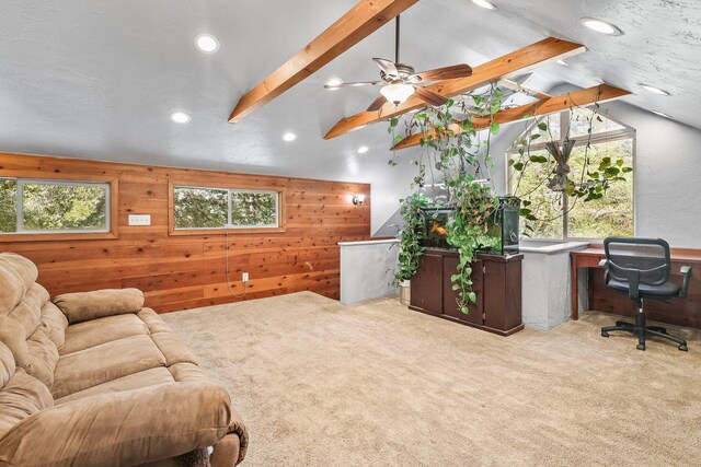 30548 Oak Run To Fern Rd, Whitmore, CA 96096 - photo 26