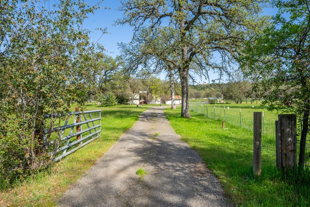 10257 Swede Creek Rd, Palo Cedro, CA 96073 - photo 3