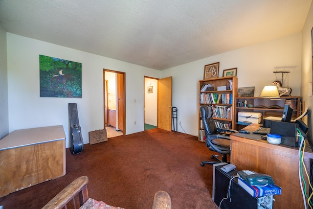 10257 Swede Creek Rd, Palo Cedro, CA 96073 - photo 23