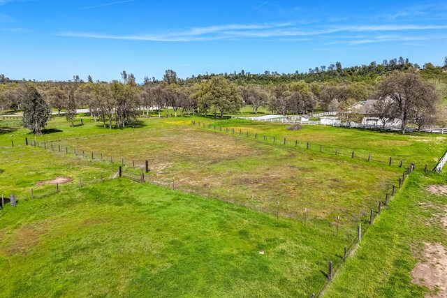 10257 Swede Creek Rd, Palo Cedro, CA 96073 - photo 61