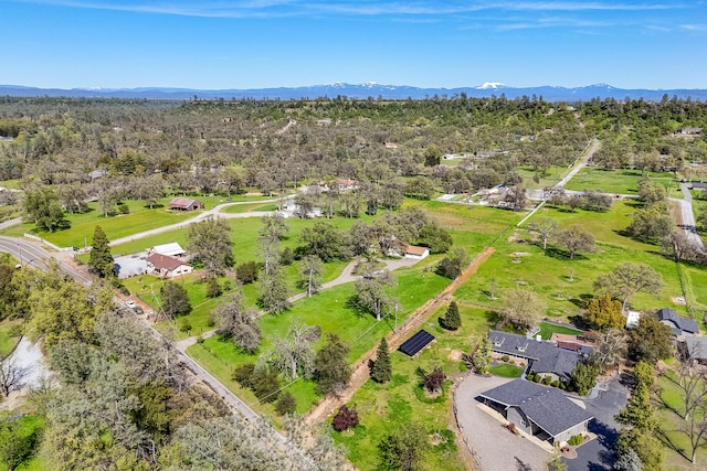 10257 Swede Creek Rd, Palo Cedro, CA 96073 - photo 67