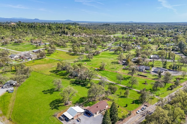 10257 Swede Creek Rd, Palo Cedro, CA 96073 - photo 68