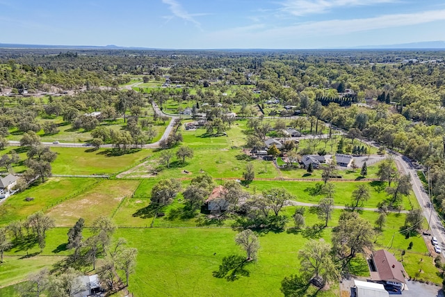 10257 Swede Creek Rd, Palo Cedro, CA 96073 - photo 69