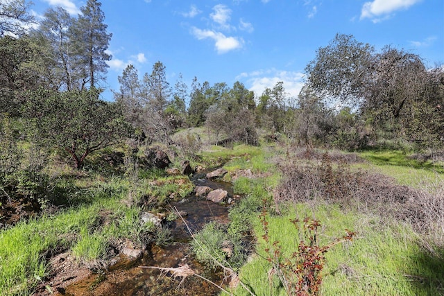 16588 Stanislaus Dr, Redding, CA 96001 - view of landscape featuring a forest view