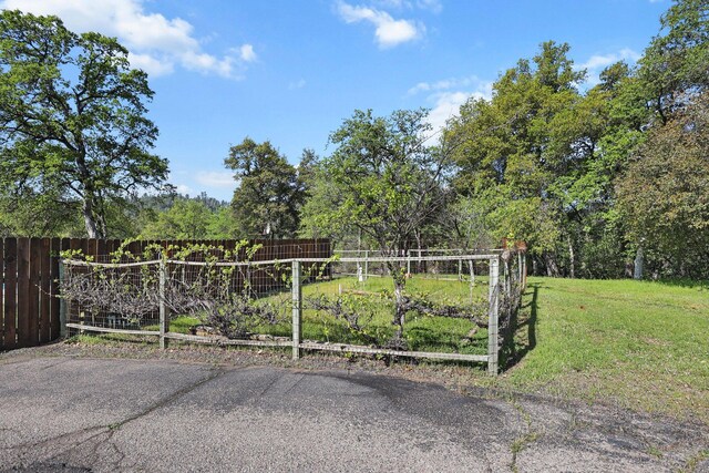 16588 Stanislaus Dr, Redding, CA 96001 - view of gate featuring a yard and fence