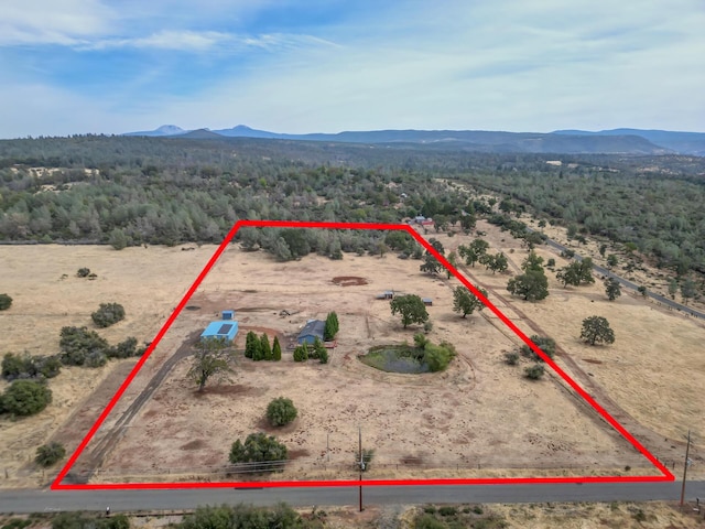 drone / aerial view with a mountain view, a rural view, and a view of trees