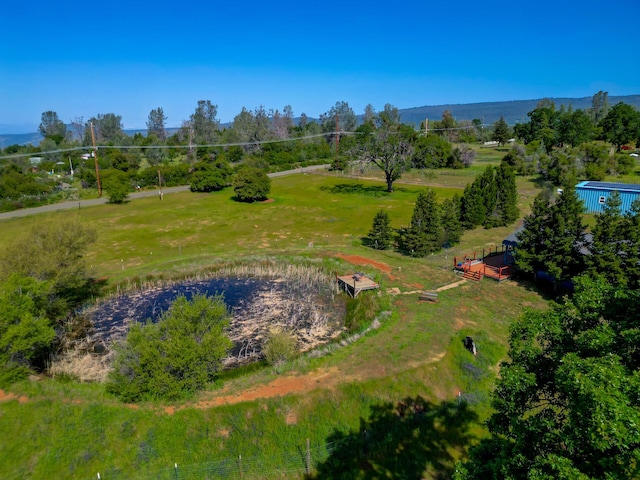 drone / aerial view