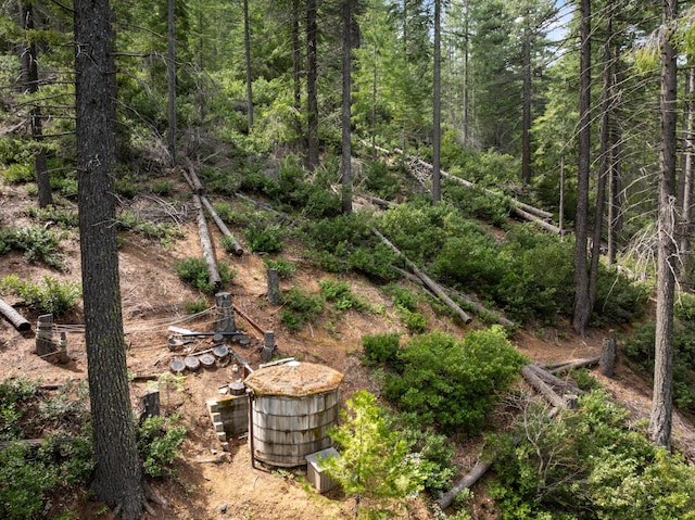 2120 Pack Trl, Mount Shasta, CA 96067 - view of landscape featuring a forest view