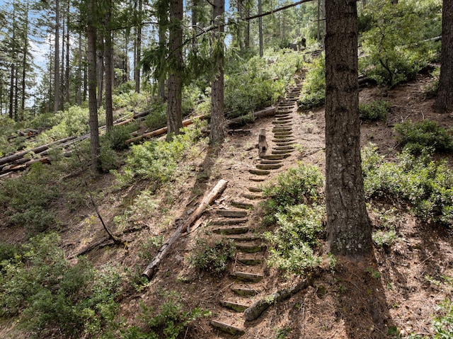 2120 Pack Trl, Mount Shasta, CA 96067 - view of landscape
