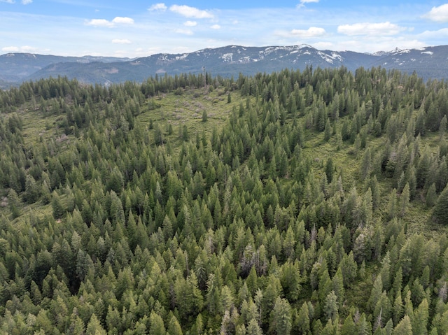 2120 Pack Trl, Mount Shasta, CA 96067 - mountain view featuring a view of trees