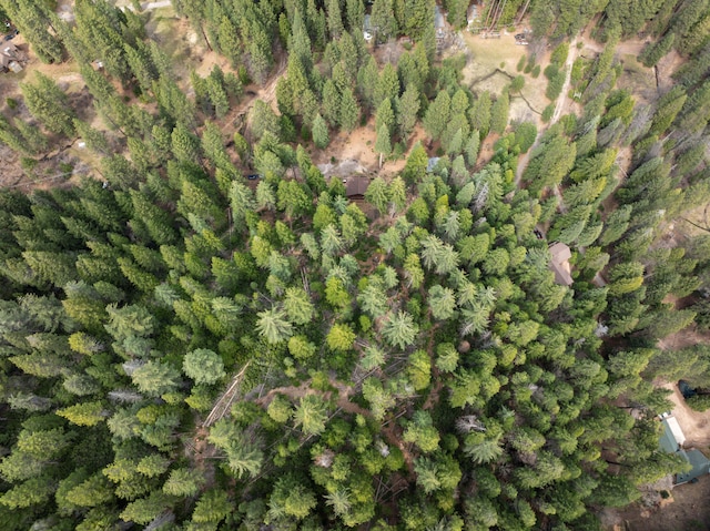 2120 Pack Trl, Mount Shasta, CA 96067 - aerial view