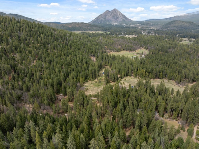 2120 Pack Trl, Mount Shasta, CA 96067 - mountain view featuring a view of trees