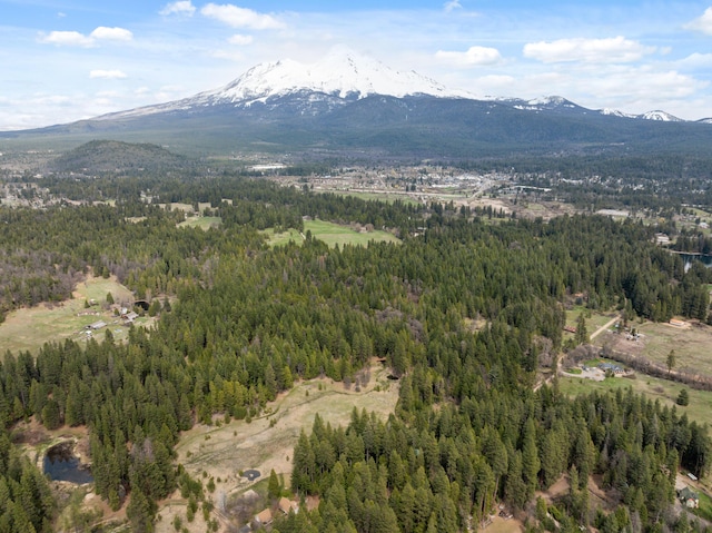 2120 Pack Trl, Mount Shasta, CA 96067 - birds eye view of property with a view of trees and a mountain view