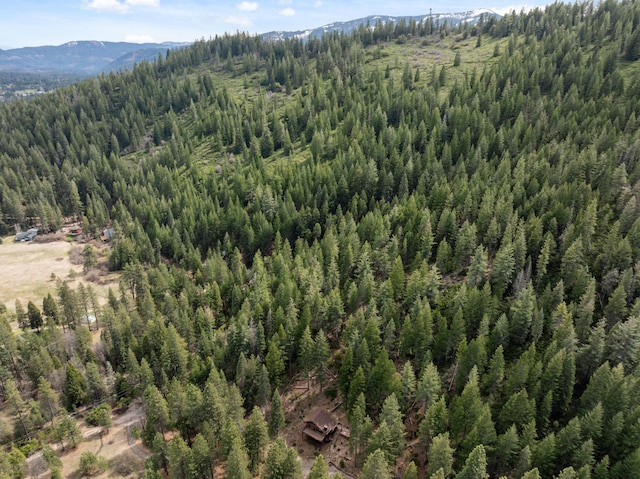2120 Pack Trl, Mount Shasta, CA 96067 - drone / aerial view with a view of trees and a mountain view