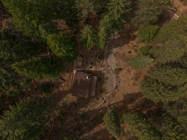2120 Pack Trl, Mount Shasta, CA 96067 - aerial view