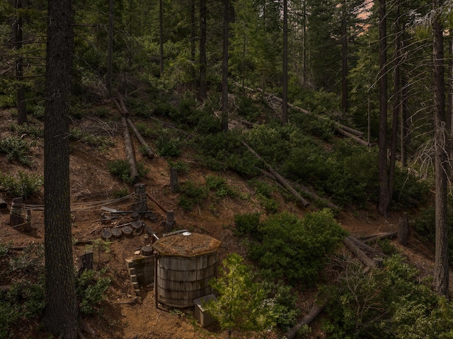 2120 Pack Trl, Mount Shasta, CA 96067 - view of landscape with a view of trees