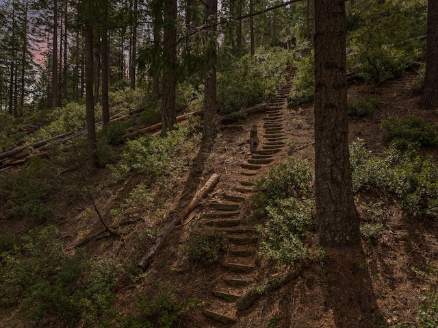 2120 Pack Trl, Mount Shasta, CA 96067 - view of nature with a forest view