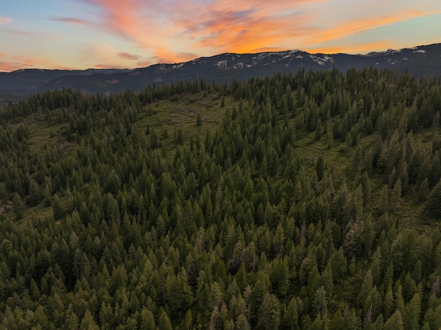 2120 Pack Trl, Mount Shasta, CA 96067 - mountain view featuring a wooded view